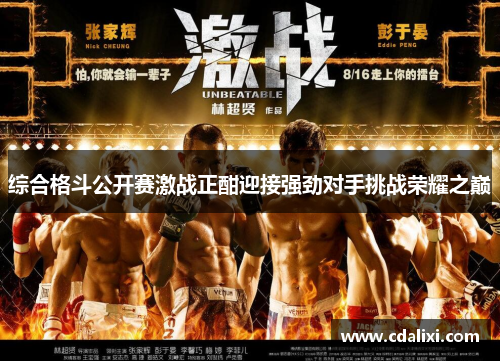 综合格斗公开赛激战正酣迎接强劲对手挑战荣耀之巅